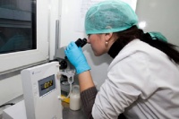 ПИЩЕВУЮ ПРОДУКЦИЮ НАЧНУТ ПРОВЕРЯТЬ НА НАЛИЧИЕ ГМО