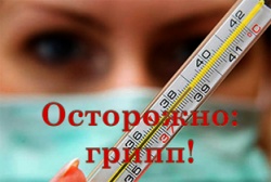ПРОФИЛАКТИКА И ПРЕДУПРЕЖДЕНИЕ ГРИППА