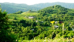 «ЛУЧШЕЕ СЕЛО ГОДА»